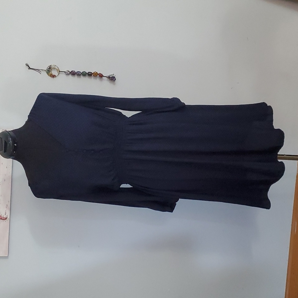 H&M Blue Polka Dot (Mama) Dress